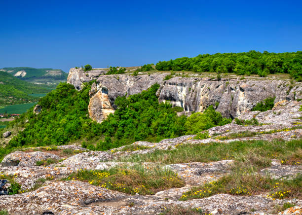 istock Beautiful summer landscape with fresh green forest and blue sky 1144107126