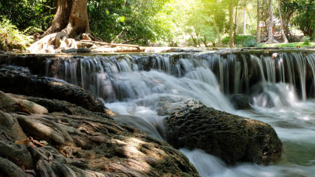 istock Mountain river stream waterfall green forest Landscape nature plant tree rainforest jungle small waterfall with rock green mos - in the morning wild landscape tropical forest green trees 1144107167