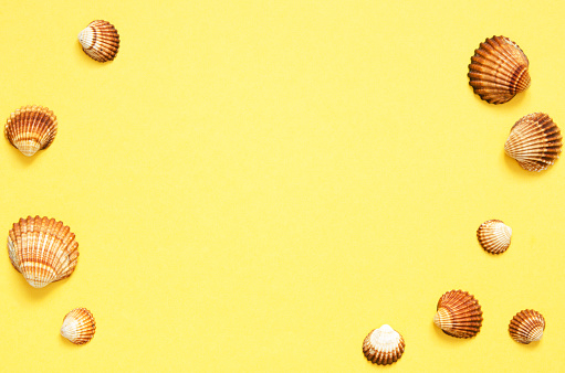 Sea shells pattern on yellow paper background. Summer concept. Flat lay, top view - Image