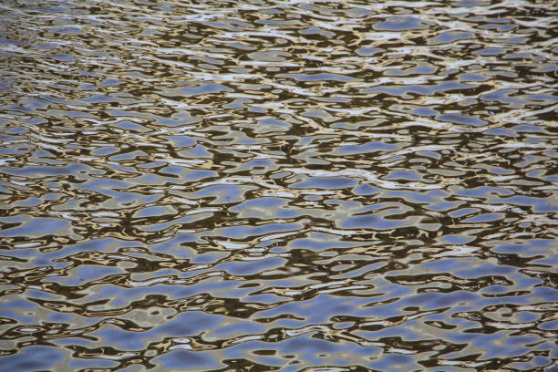 istock Water reflecting our world in a fabulous and unique form that changes every moment 1144108645