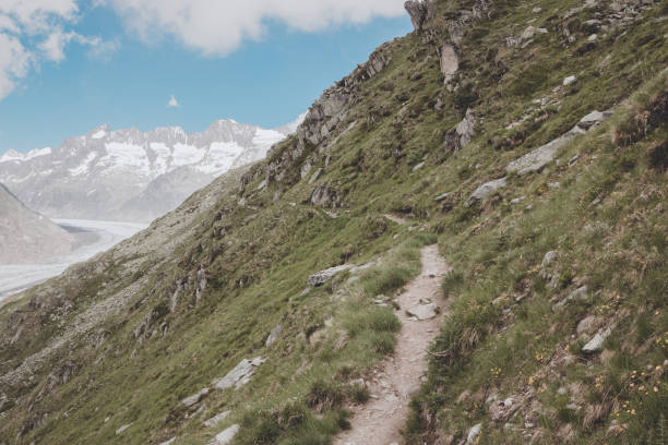 istock Panorama of mountains scene, walk through the great Aletsch Glacier 1144113041