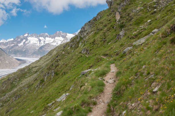 istock Panorama of mountains scene, walk through the great Aletsch Glacier 1144113046