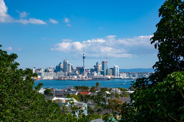 istock Auckland City 1144113664