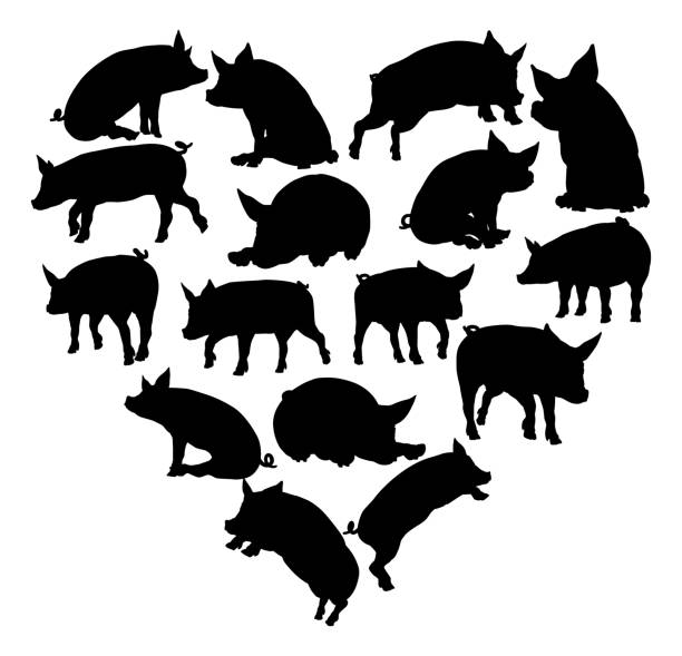 돼지 심장 실루엣 컨셉 - heart shape animal heart love symbol stock illustrations