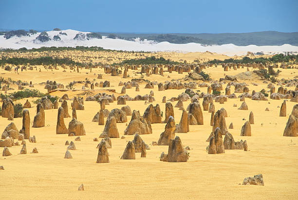 красота pinnacles пустыня - australia desert pinnacle stone стоковые фото и изображения