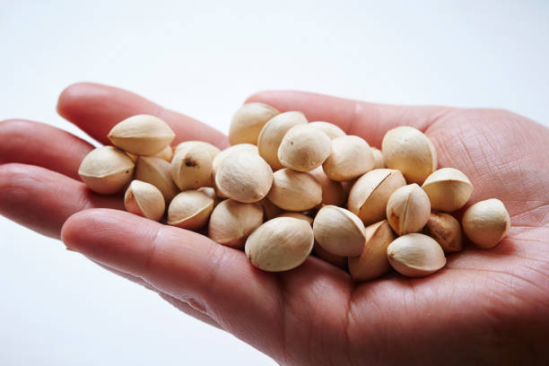 Chinese herbal medicine in hand