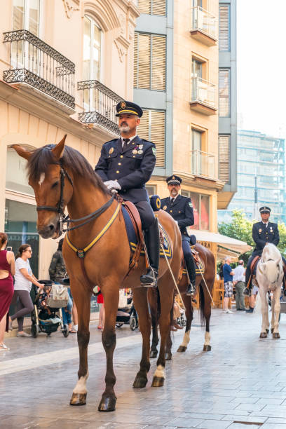 la polizia locale della città di malaga sui cavalli sulla via echegaray, dal centro storico, costa del sol, provincia di malaga, andalusia, spagna, europa occidentale - editorial famous place vertical manhattan foto e immagini stock