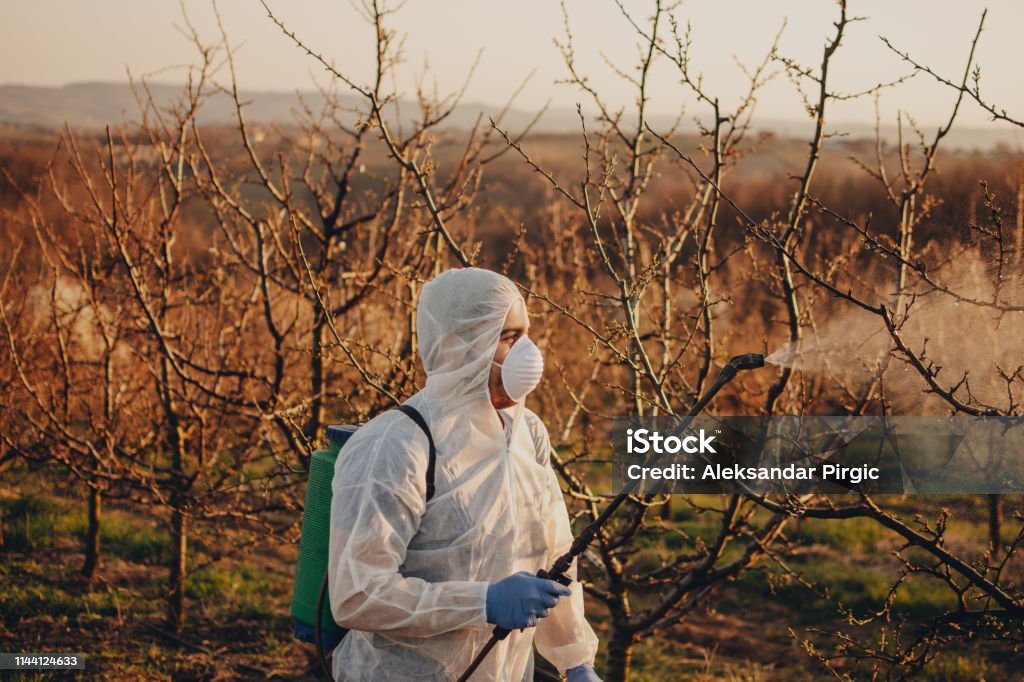 People workers in agriculture business Herbicide Stock Photo
