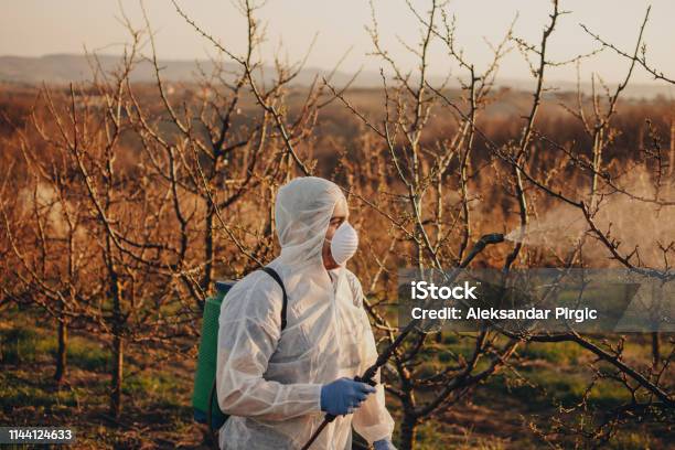 People Workers In Agriculture Business Stock Photo - Download Image Now - Herbicide, Crop Sprayer, Insecticide