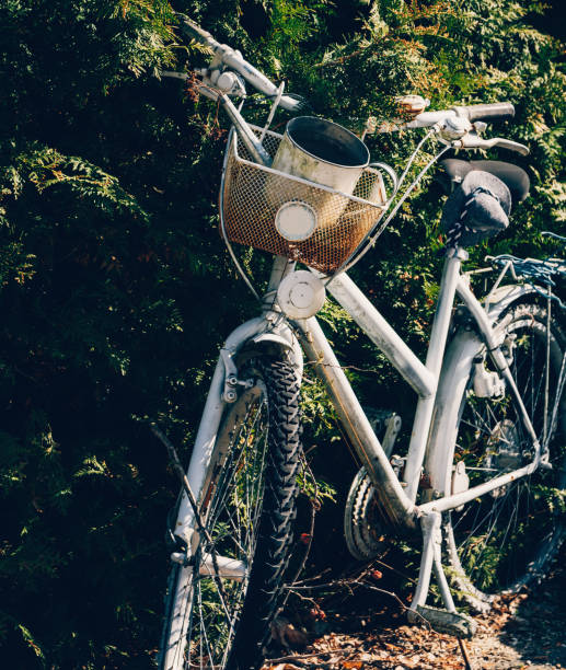 istock old bicycle in front of a hedge 1144124838