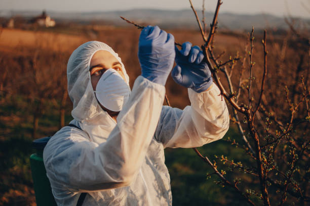 istock People workers in agriculture business 1144125052