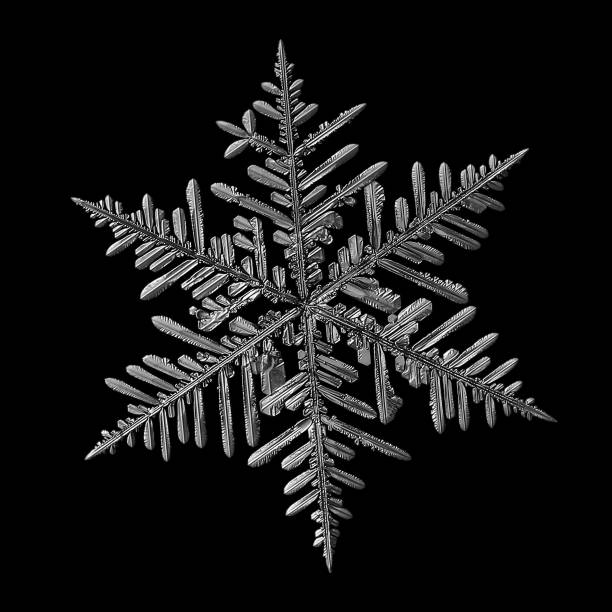 istock Gray snowflake isolated on black background 1144126939
