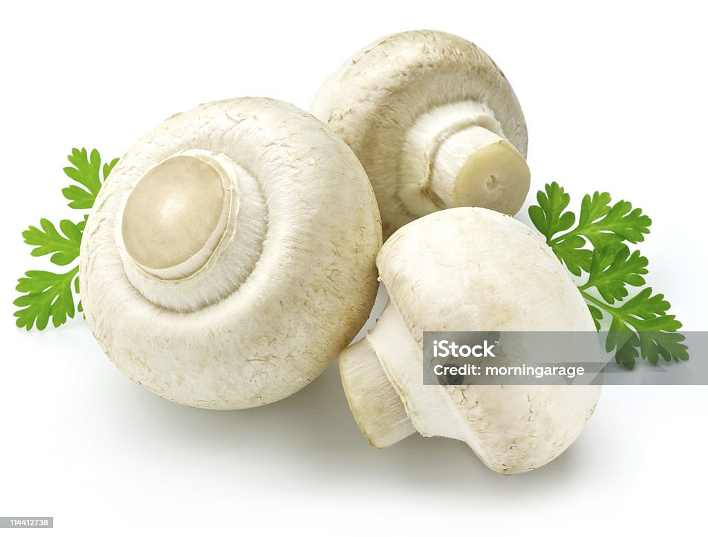 Champignon de Paris - Photo de Champignon de Paris libre de droits