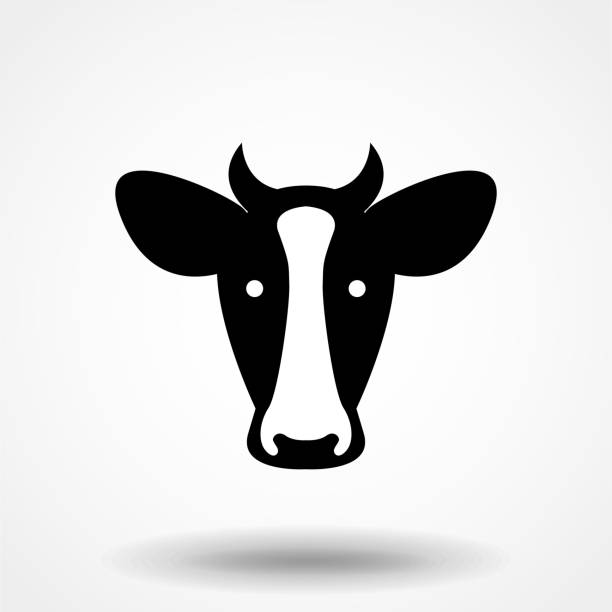 kuvapankkikuvitukset aiheesta lehmänpään kuvake. lehmänpää siluetti. maatilan eläinmerkki. vektorikuva. - snout