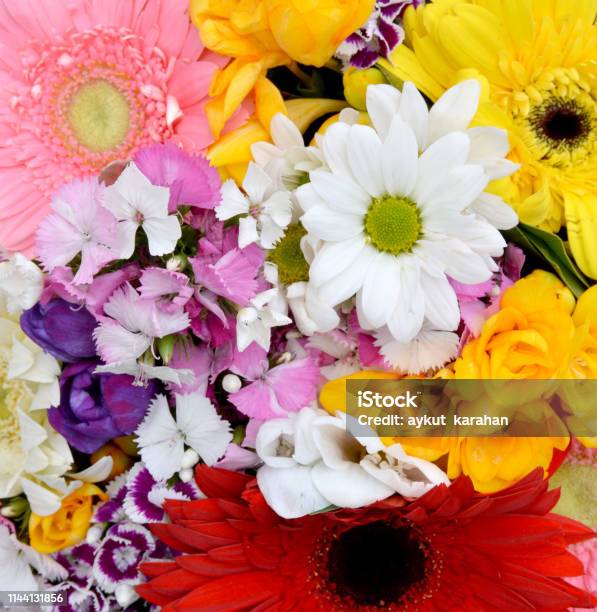 Bouquet Of Flowers Stock Photo - Download Image Now - Art, Backgrounds,  Beauty - iStock