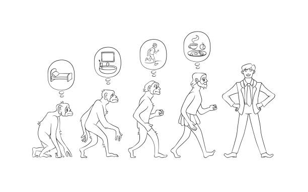 Vector illustration set of morning evolution of man. Vector illustration set of morning evolution of man from waking up in bed as monkey to self-collected person ready for effective work in hand drawn line black and white style isolated on white. black man brushing teeth stock illustrations