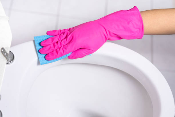 istock Cropped hand cleaning a toilet with blue cloth 1144139446