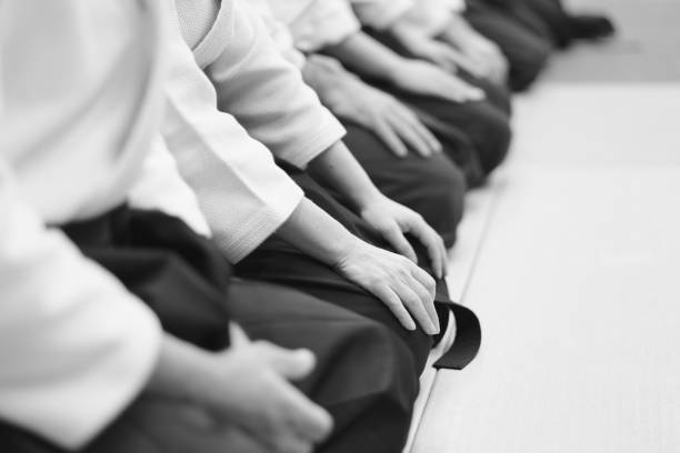 istock Sensei students  at a seminar on aikido 1144139647