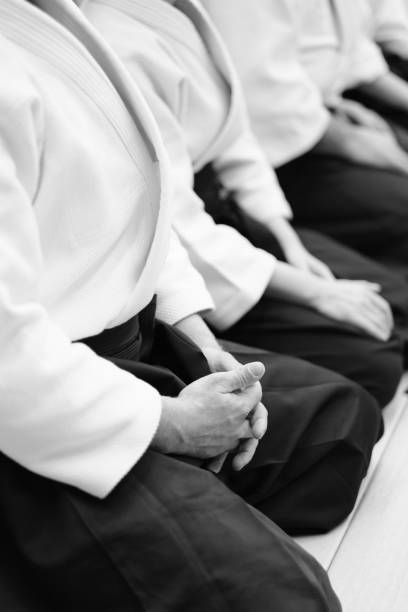 istock Sensei students  at a seminar on aikido 1144139713