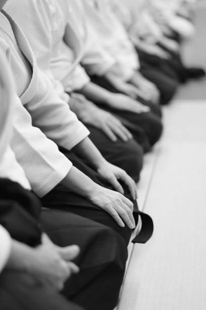 istock Sensei students  at a seminar on aikido 1144139725