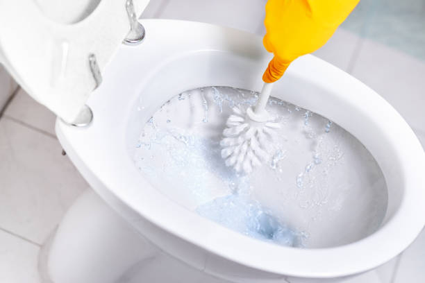 Toilet bowl close-up blue water Close-up toilet bowl with brush and blue water Toilet stock pictures, royalty-free photos & images