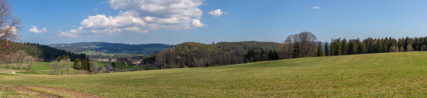 istock Southern view towards the back species 1144140863
