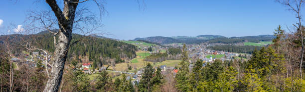 istock Rear species from the direction SO 1144140869