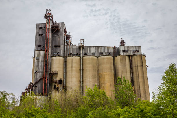 istock Large abandoned factory with tall silos and rusty sides in the deep south 1144141118