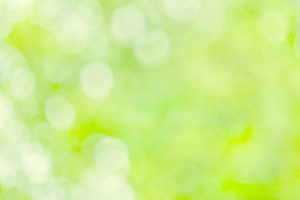istock Natural green summer background with bokeh (abstract, blurred) 1144142621