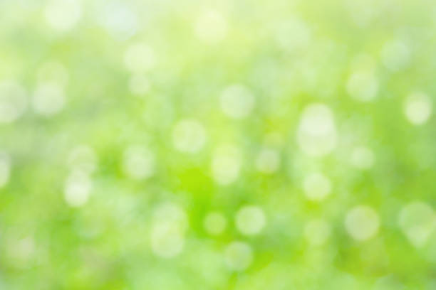 istock Natural blurred summer green background with bokeh (abstract) 1144142631