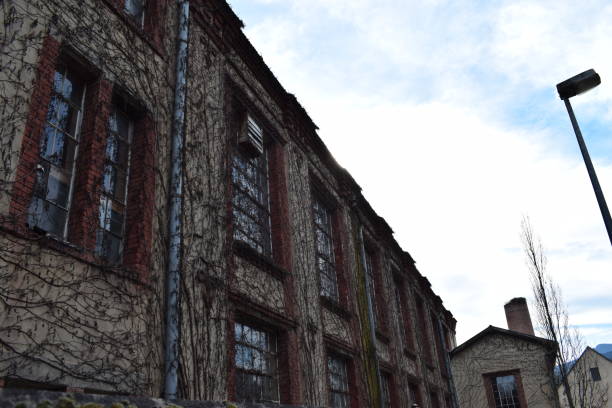 istock Old brick factory climbed by vegetation 1144145145