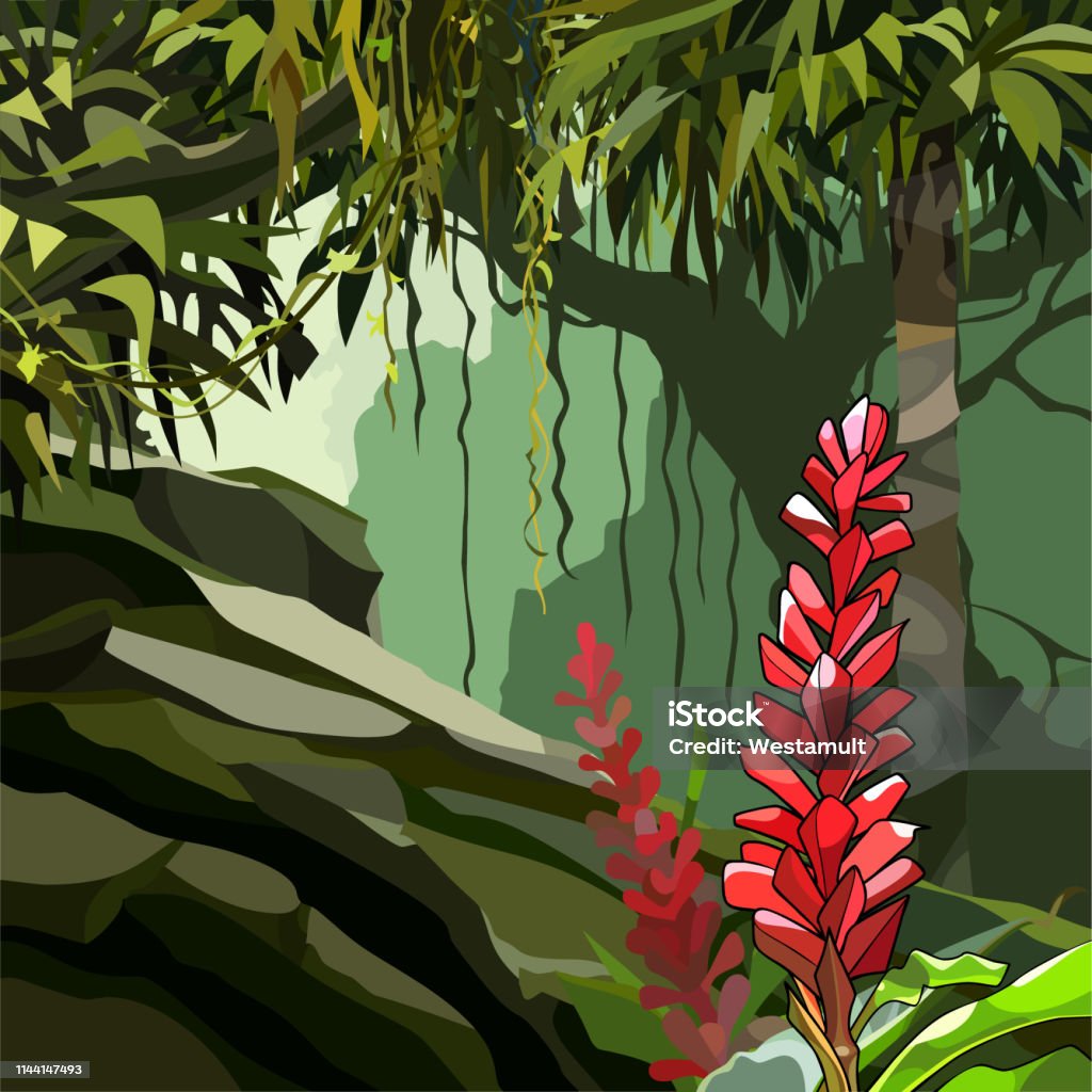 pintó flores de jengibre entre plantas tropicales en la selva - arte vectorial de Aire libre libre de derechos