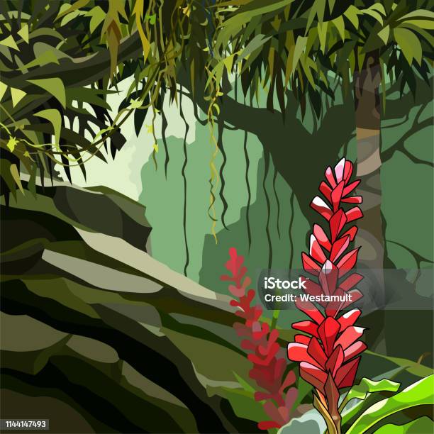 Ilustración de Pintó Flores De Jengibre Entre Plantas Tropicales En La Selva y más Vectores Libres de Derechos de Aire libre