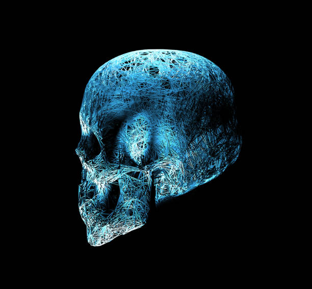 istock skull illustration made by interlacing network of thin lines, and grungy halftone effect. 3D Illustration 1144148102