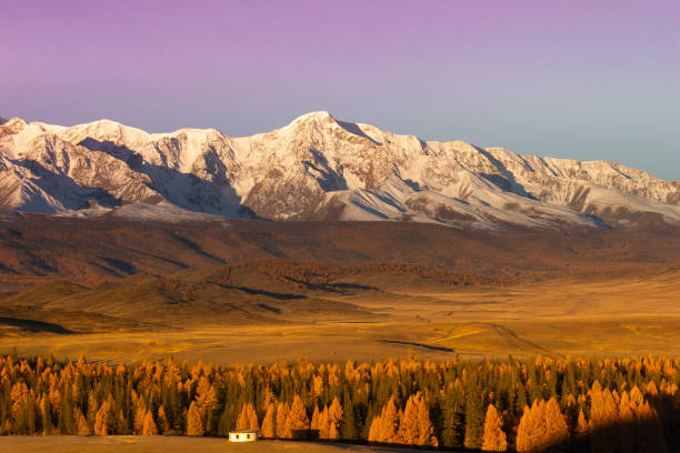 istock Autumn in mountain valley. Mountain range and yellow forest on horizon 1144153450