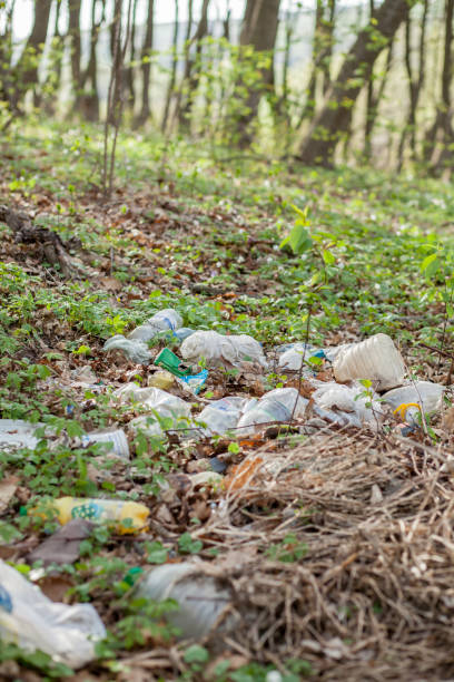 istock Plastic trash in the forest. Tucked nature. Plastic container lying in the grass 1144153570