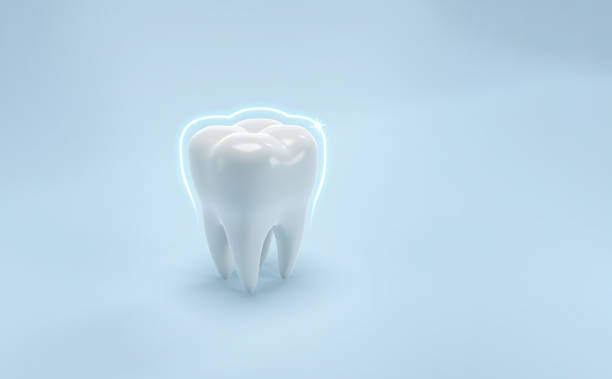 Tooth,  3d illustration stock photo