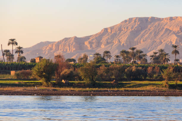 View of Nile river in Luxor, Egypt View of Nile river in Luxor, Egypt nile river stock pictures, royalty-free photos & images