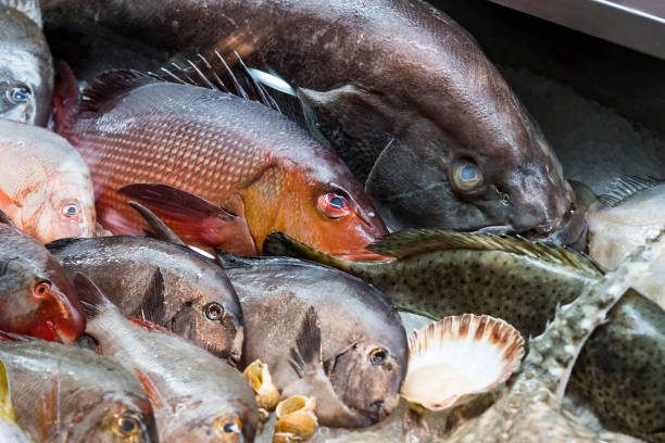 istock Background of fresh seafood fish clams 1144157908