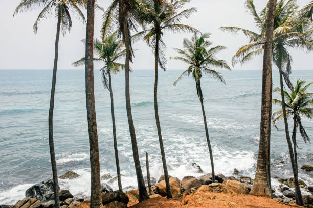 istock sea view at coconut tree hill 1144158313