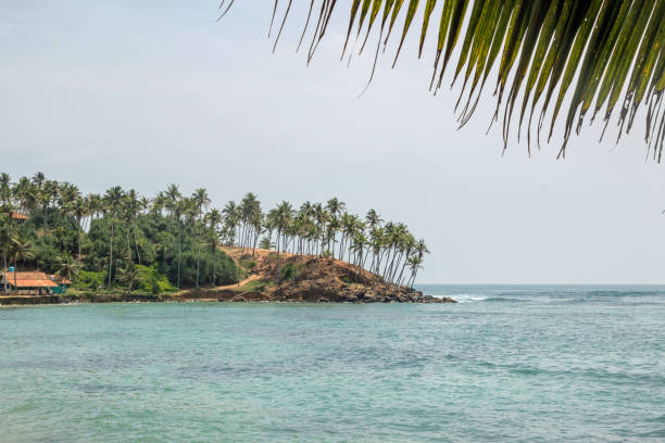 istock sea view at coconut tree hill 1144158468