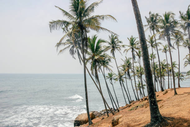istock sea view at coconut tree hill 1144158848