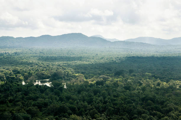 istock aerial view landscape from lion rock Sigiriya 1144160857