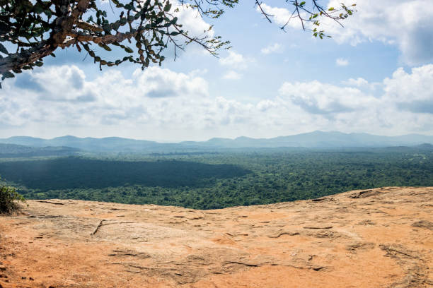 istock aerial view landscape from lion rock Sigiriya 1144160925