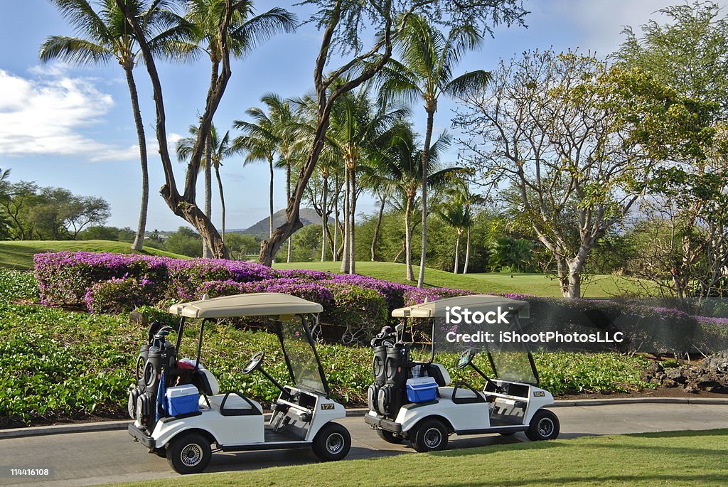 Tropical Golf  Golf Cart Stock Photo