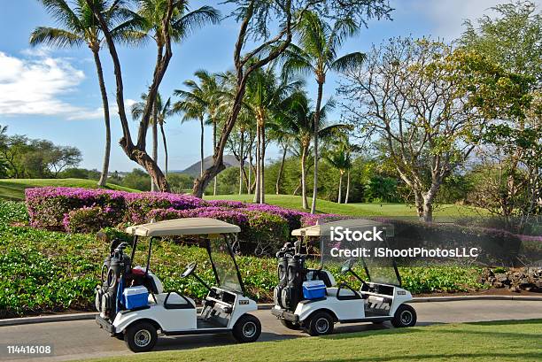 Tropical Golf Stock Photo - Download Image Now - Golf Cart, Tropical Climate, Golf Course