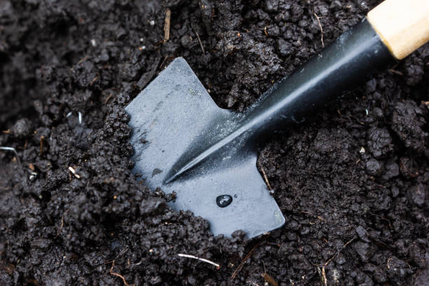 Garden spade in ground. Gardening, preparation for planting. stock photo
