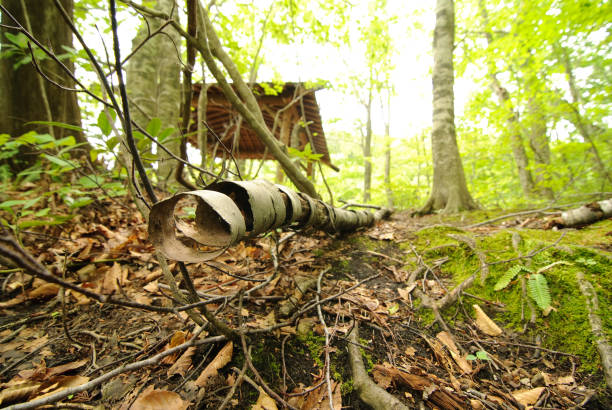 istock hiking in the mountain, exploration in the forest 1144162488