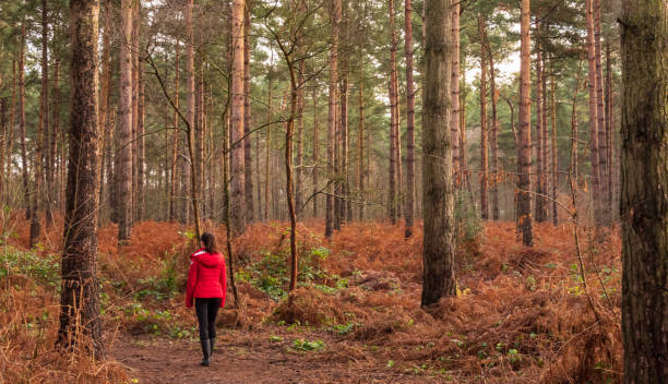 istock Girl in red jacket walking in woods 1144164734