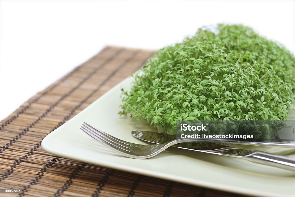 healthy lunch  Biology Class Stock Photo